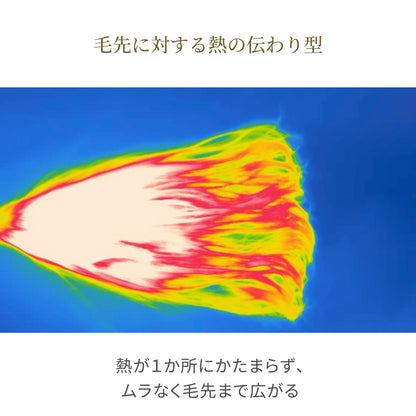 ［特典付］ツヤニュアンス ドライヤー